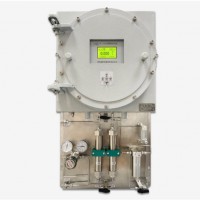 NK-200系列氫氣純度分析儀圖片2
