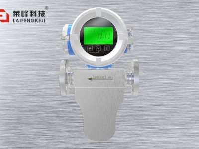 科里奧利質(zhì)量流量計 LF-CT常規(guī)型圖片1